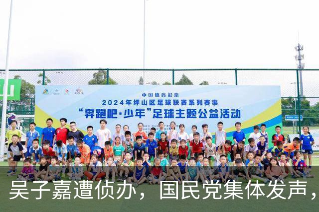 吴子嘉遭侦办，国民党集体发声，郑丽文重磅发声，民进党放人了？