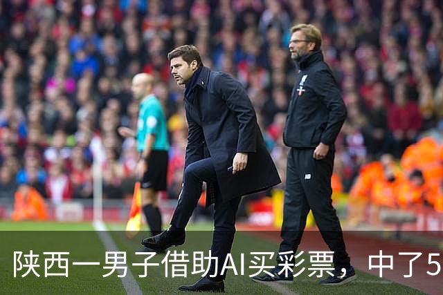 陕西一男子借助AI买彩票，中了508万元；本人回应：让AI选出20个号码，根据重号、连号、分布，人工再修正